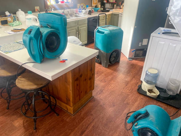 Best Sewage cleanup and water damage restoration  in Broadway, NC