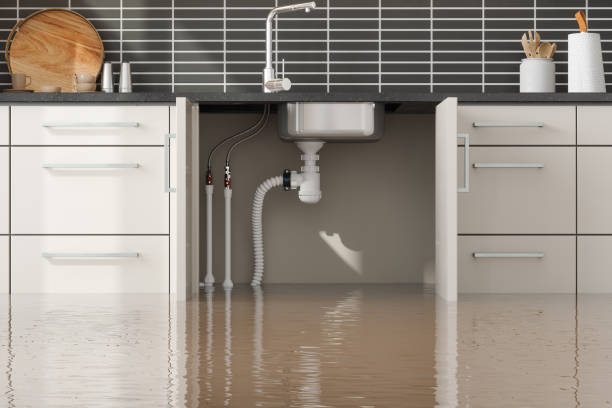 Best Flood damage cleanup  in Broadway, NC