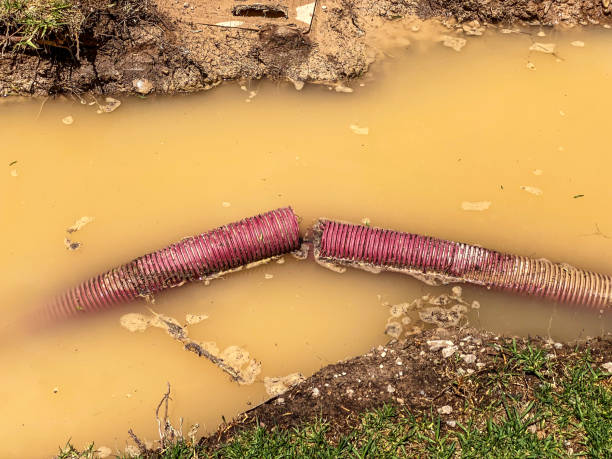 Best 24/7 water damage repair  in Broadway, NC